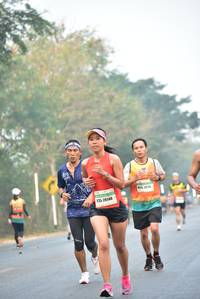 BIB: 20140
                            <button type="button" onclick="openModal(10134566)" class="btn btn-primary btn-sm float-right btn-popup" data-toggle="modal" data-target=".modal-high-quality">
                        <i class="fas fa-shopping-cart"></i> Add to Cart
                    </button>
                                            <button type="button" onclick="isThisMe(10134566, true)" class="btn btn-success btn-sm float-right btn-popup btn-isme hidden" data-toggle="tooltip" data-placement="bottom" title="นี่คือรูปของคุณใช่ไหม คลิกที่นี่เพื่อเอาเข้าอัลบั้ม">
                        <i class="fas fa-plus"></i> Add to album
                    </button>
                    <button type="button" onclick="isThisMe(10134566, false)" class="btn btn-warning btn-sm float-right btn-popup btn-isnotme hidden">
                        <i class="fas fa-ban"></i> Remove from album
                    </button>
